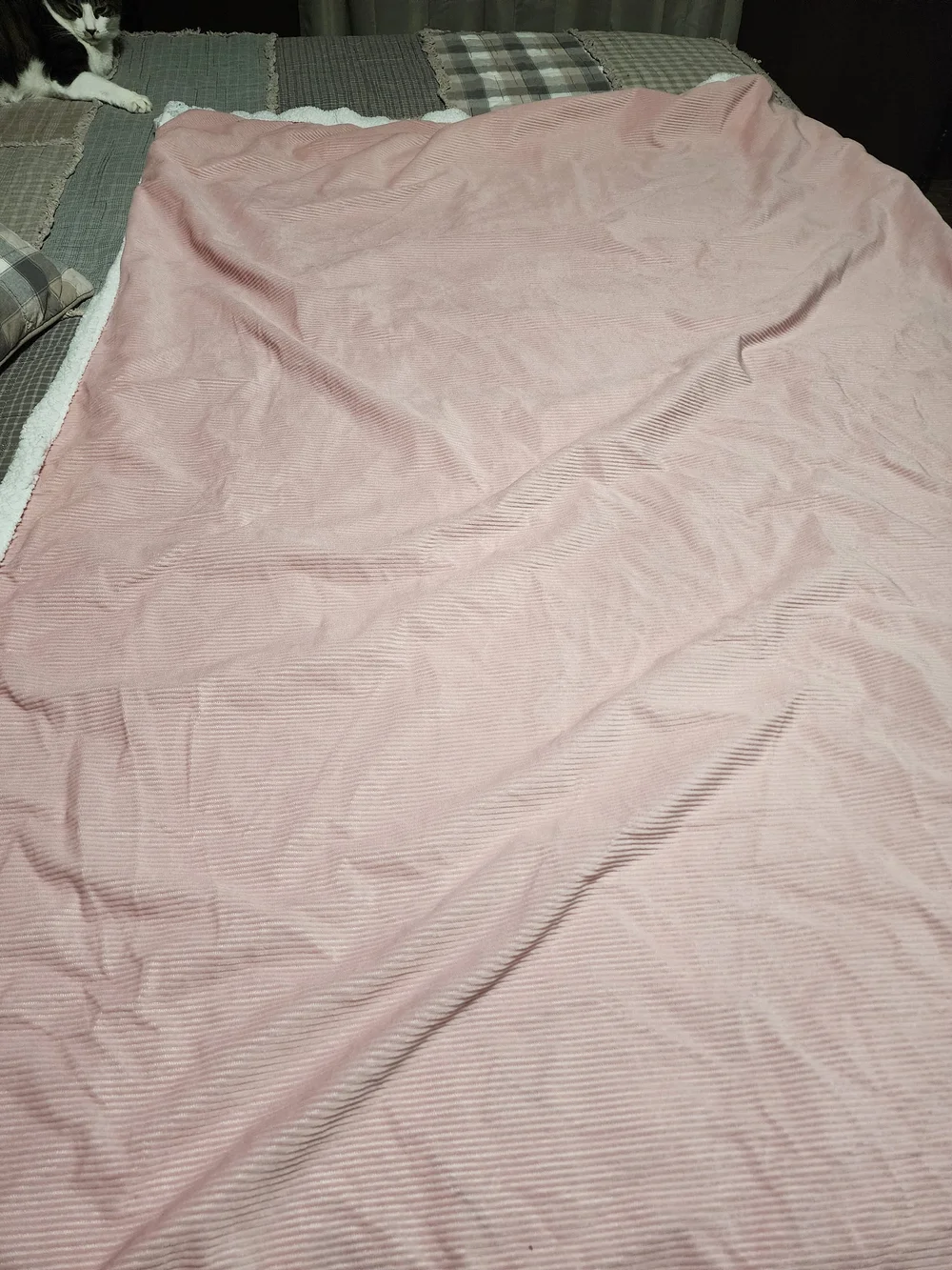 Plush Reversible Rose Pink Sherpa Throw Blanket